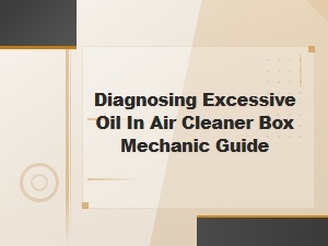 Diagnosing Excessive Oil in Air Cleaner Box: Causes and Fixes