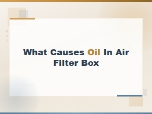 What Causes Oil in the Air Filter Box and How to Fix It